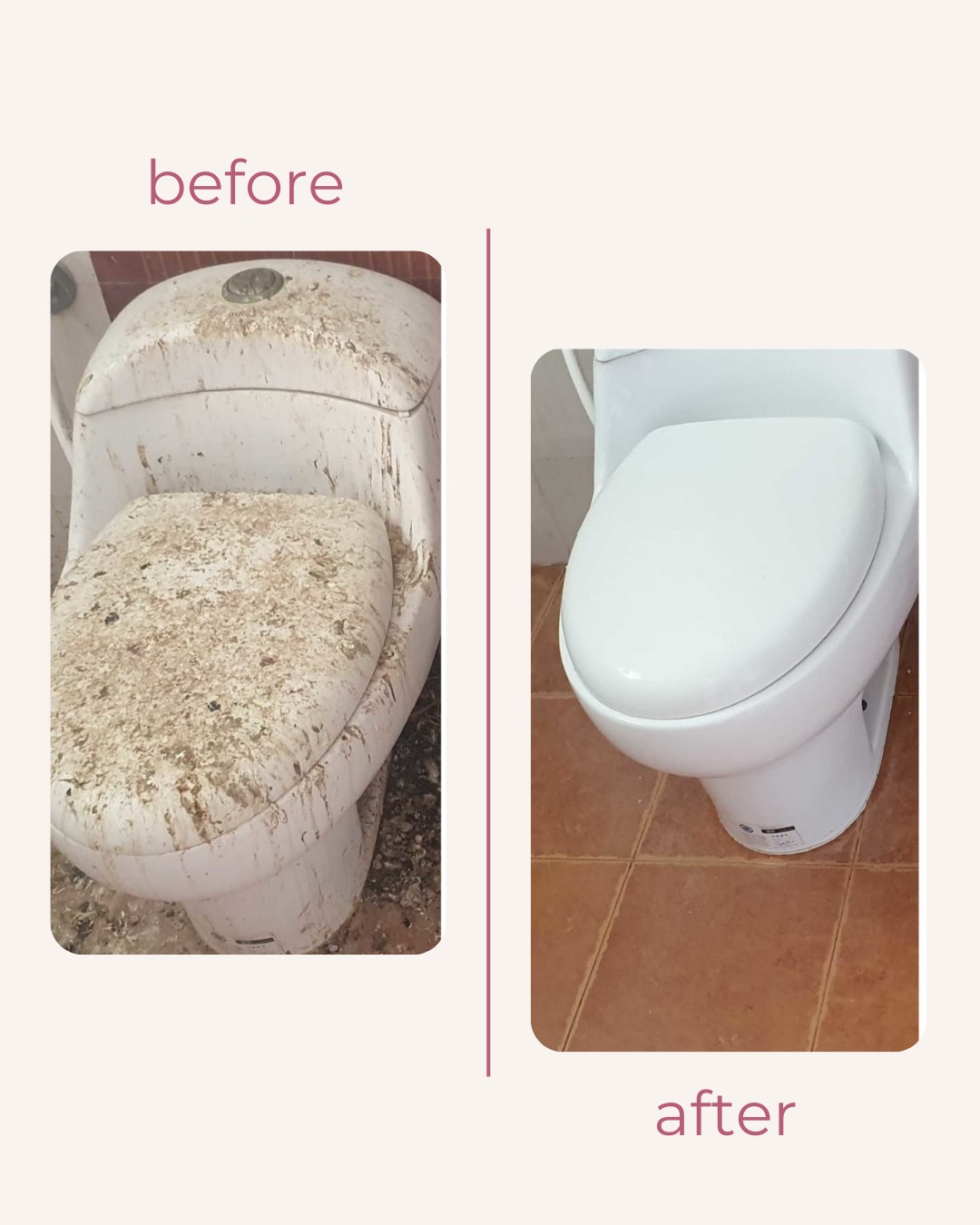 Professional toilet cleaning and sanitization